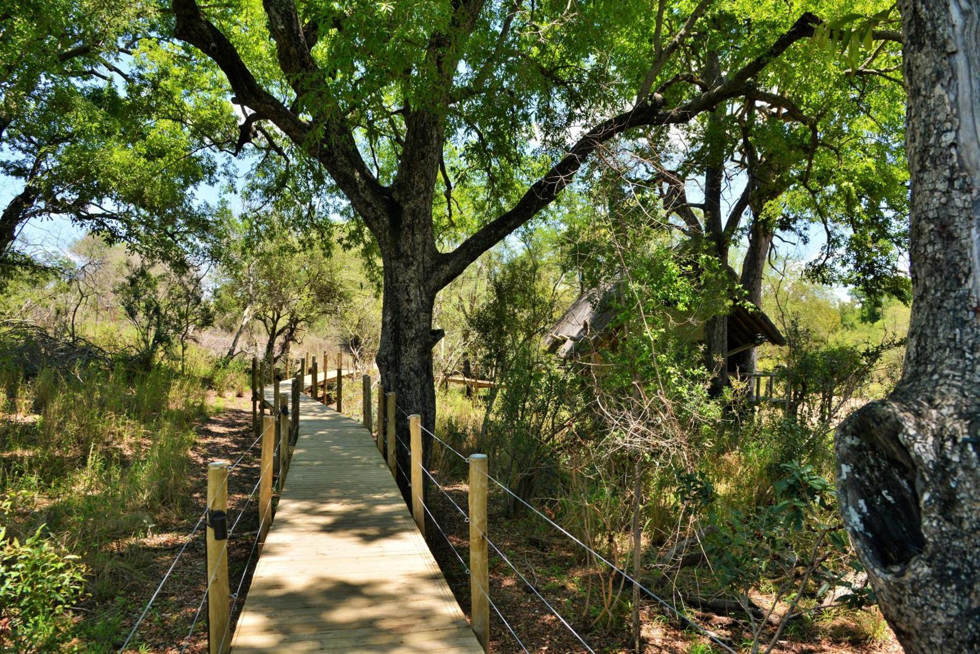 Rhino Post Safari Lodge 스쿠쿠자 외부 사진