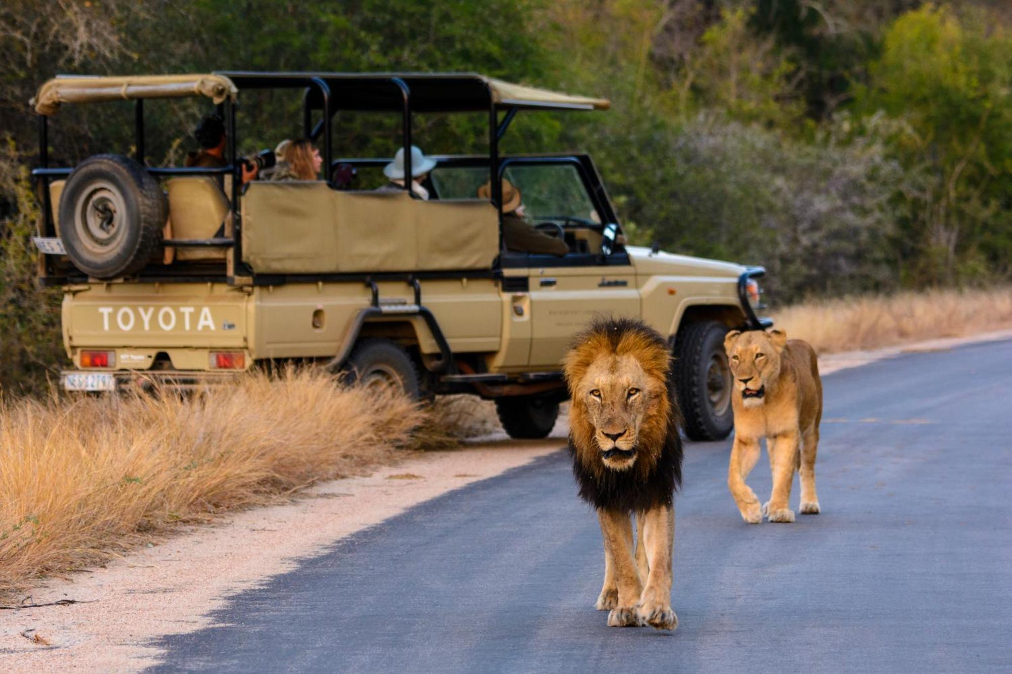 Rhino Post Safari Lodge 스쿠쿠자 외부 사진