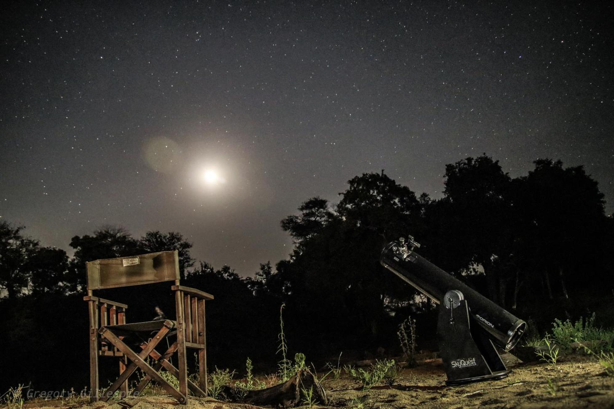 Rhino Post Safari Lodge 스쿠쿠자 외부 사진