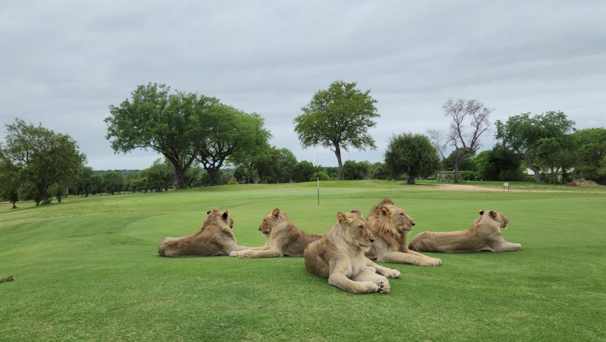 Rhino Post Safari Lodge 스쿠쿠자 외부 사진
